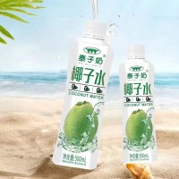 泰子奶椰子水500ml